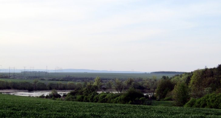 IMG_7705.JPG